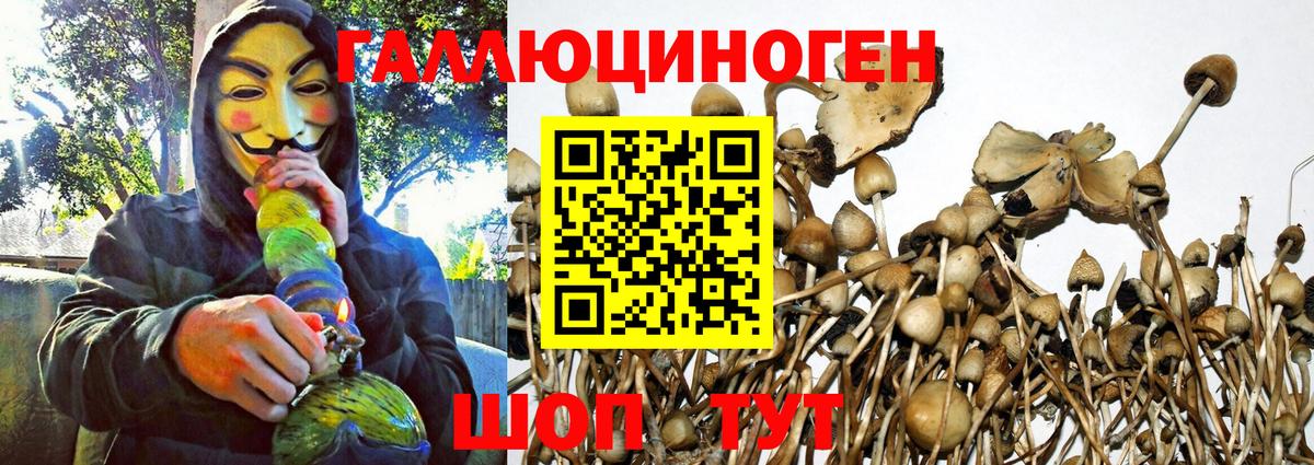 Псилоцибиновые грибы Psilocybine cubensis  купить наркотик  Вход с VPN  Улан-Удэ  Галлюциногенные грибы мицелий 